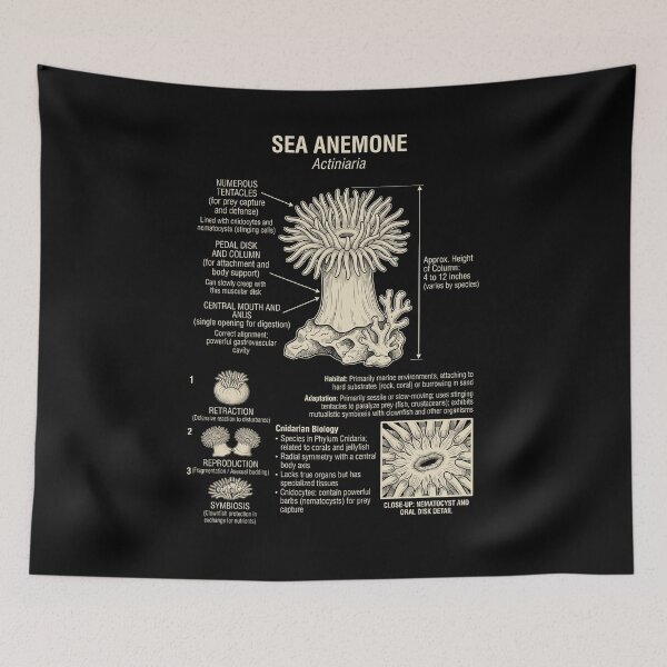 Item preview, Sea Anemone Scientific Anatomy Biology Animal Lover designed and sold by Kimberley King Art  King Art.