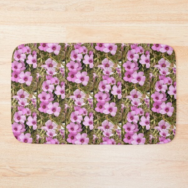 Item preview, Vibrant Pink Oxalis Blossoms Isolated on White designed and sold by BalkanBloom.