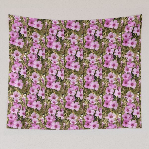 Item preview, Vibrant Pink Oxalis Blossoms Isolated on White designed and sold by BalkanBloom.