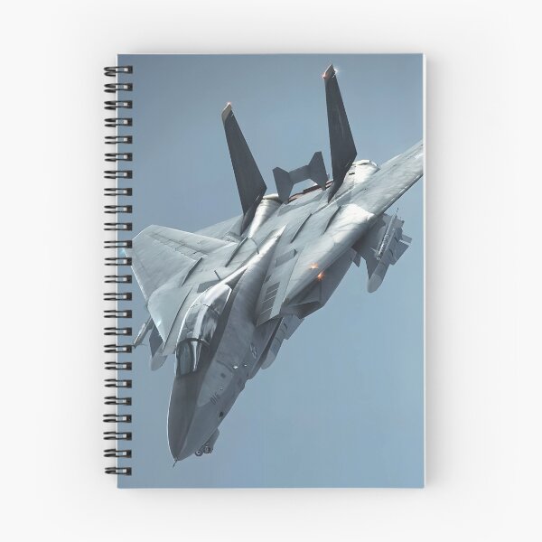 Item preview, F-14 Tomcat designed and sold by RaF71PrO.
