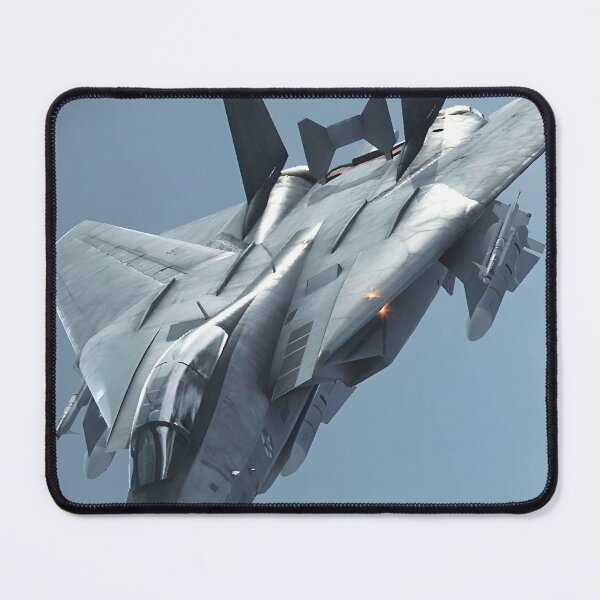 Item preview, F-14 Tomcat designed and sold by RaF71PrO.