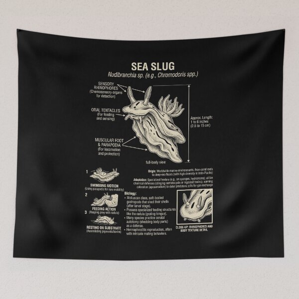Item preview, Sea Slug Scientific Anatomy Biology Animal Lover designed and sold by Kimberley King Art  King Art.