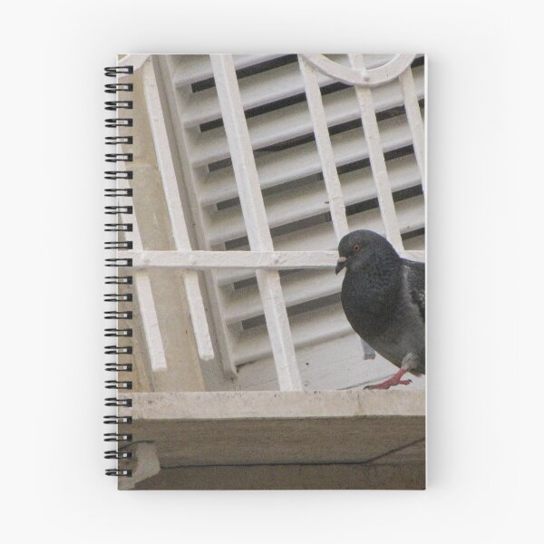 Item preview, Urban Pigeon Perched On Balcony Railing By Shuttered Window On City Building designed and sold by Nmallia.