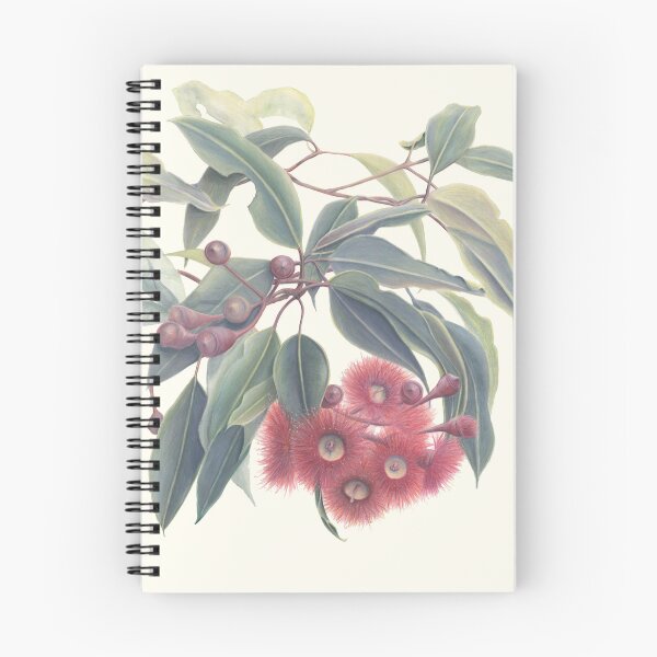 Item preview, Red Eucalyptus Australian Flowers and Leaves Art Rachael Curry designed and sold by RachaelCurryArt.
