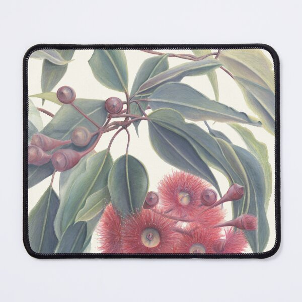 Item preview, Red Eucalyptus Australian Flowers and Leaves Art Rachael Curry designed and sold by RachaelCurryArt.