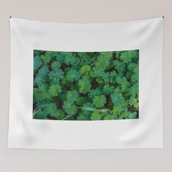 Item preview, Close-Up Green Leaves Groundcover Foliage Texture Pattern Natural Garden Plant Background Macro Photo designed and sold by Nmallia.