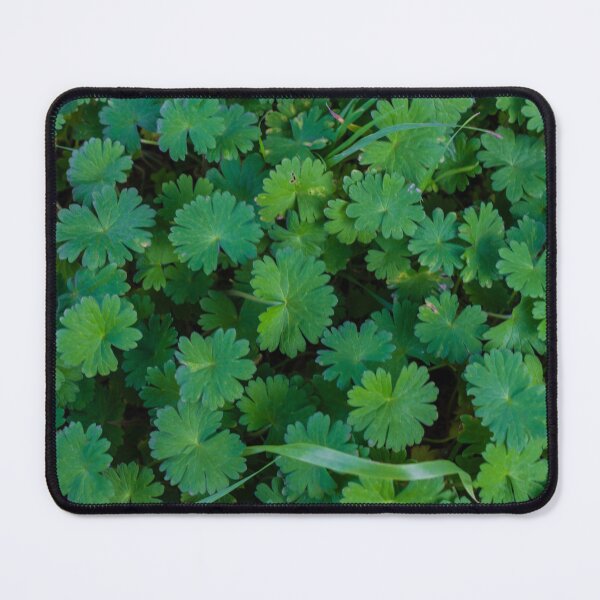 Item preview, Close-Up Green Leaves Groundcover Foliage Texture Pattern Natural Garden Plant Background Macro Photo designed and sold by Nmallia.