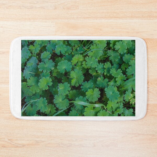 Item preview, Close-Up Green Leaves Groundcover Foliage Texture Pattern Natural Garden Plant Background Macro Photo designed and sold by Nmallia.