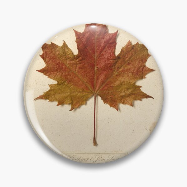 Item preview, Vintage Pressed Maple Leaf Botanical Plate designed and sold by PictorialWhimsy.