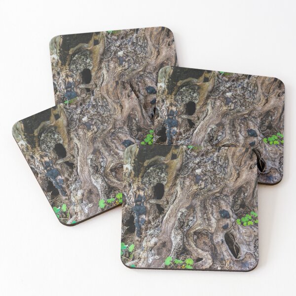 Item preview, Gnarled Tree Stump With Twisted Roots and Weathered Bark Texture in Forest Floor designed and sold by Nmallia.