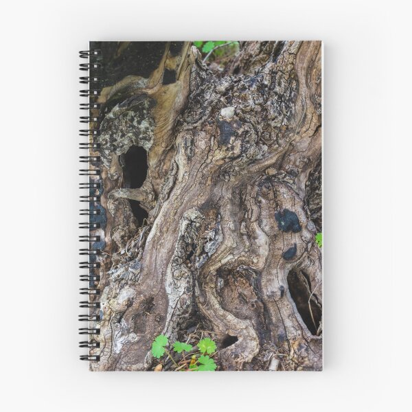 Item preview, Gnarled Tree Stump With Twisted Roots and Weathered Bark Texture in Forest Floor designed and sold by Nmallia.