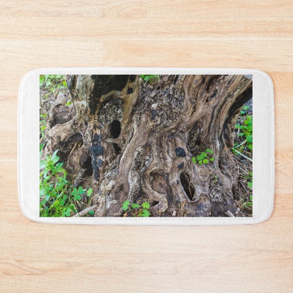 Item preview, Gnarled Tree Stump With Twisted Roots and Weathered Bark Texture in Forest Floor designed and sold by Nmallia.