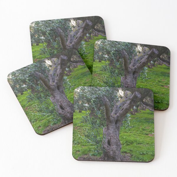 Item preview, Gnarled Old Olive Tree Trunk in Lush Green Mediterranean Olive Grove at Dusk designed and sold by Nmallia.