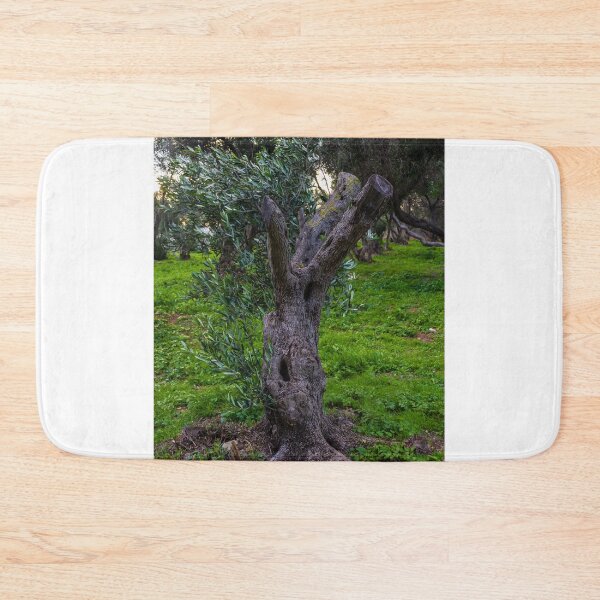 Item preview, Gnarled Old Olive Tree Trunk in Lush Green Mediterranean Olive Grove at Dusk designed and sold by Nmallia.