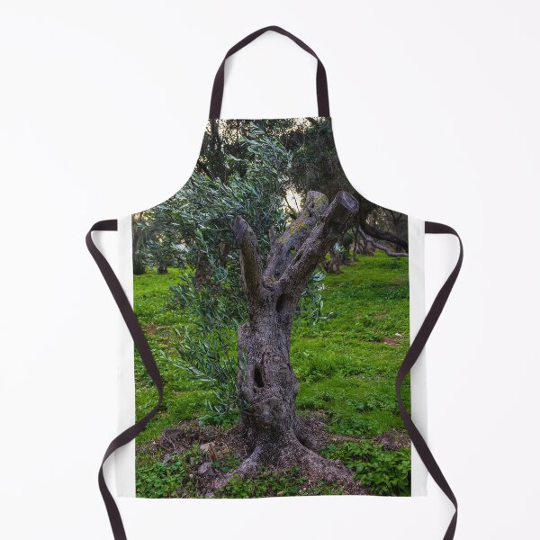 Item preview, Gnarled Old Olive Tree Trunk in Lush Green Mediterranean Olive Grove at Dusk designed and sold by Nmallia.