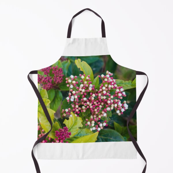 Item preview, Close-Up Of Pink And White Flower Buds Clustered Among Green Leaves In A Garden designed and sold by Nmallia.