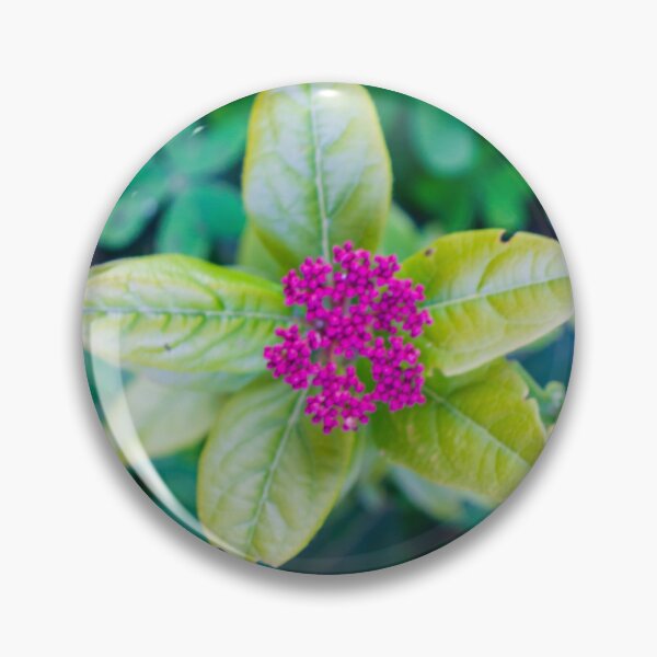Item preview, Close-Up Pink Cluster Flower With Green Leaves Over Soft Blurred Garden Background designed and sold by Nmallia.