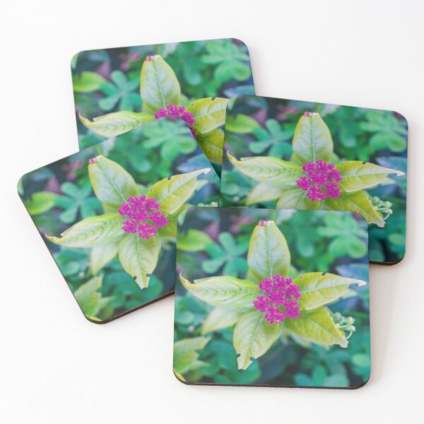 Item preview, Close-Up Pink Cluster Flower With Green Leaves Over Soft Blurred Garden Background designed and sold by Nmallia.