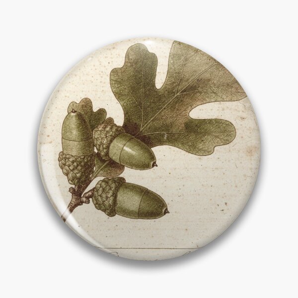 Item preview, Vintage Acorn and Oak Botanical Study Plate designed and sold by PictorialWhimsy.