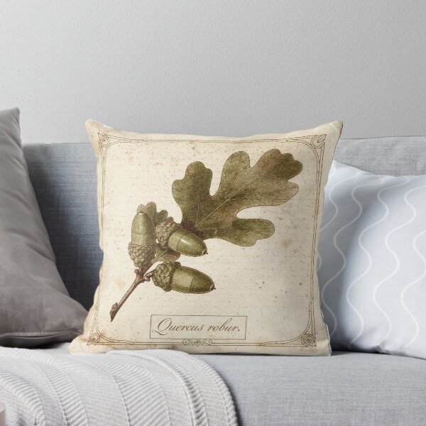 Item preview, Vintage Acorn and Oak Botanical Study Plate designed and sold by PictorialWhimsy.