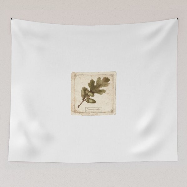 Item preview, Vintage Acorn and Oak Botanical Study Plate designed and sold by PictorialWhimsy.