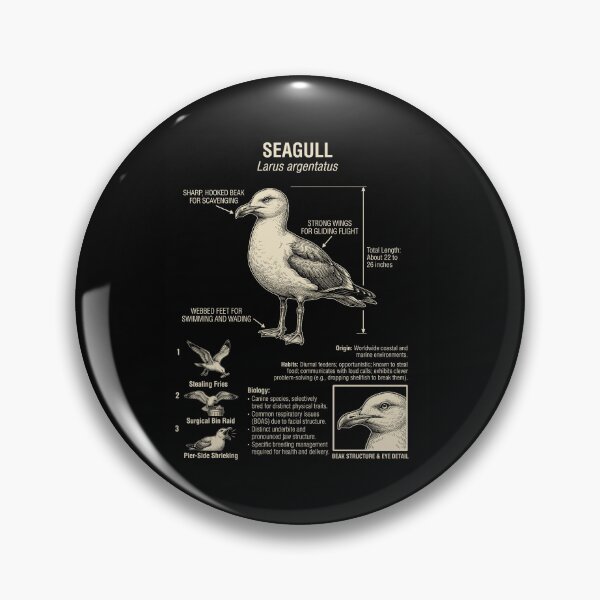 Item preview, Seagull Scientific Anatomy Ornithology Animal Lover designed and sold by Kimberley King Art  King Art.