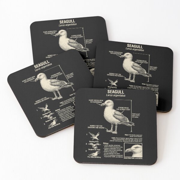 Item preview, Seagull Scientific Anatomy Ornithology Animal Lover designed and sold by Kimberley King Art  King Art.