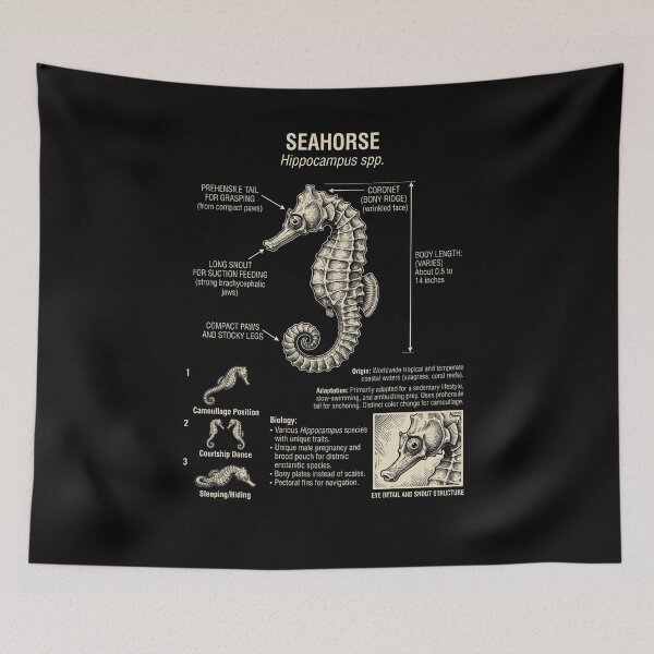 Item preview, Seahorse Scientific Anatomy Biology Animal Lover designed and sold by Kimberley King Art  King Art.