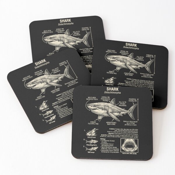Item preview, Shark Scientific Anatomy Biology Animal Lover designed and sold by Kimberley King Art  King Art.