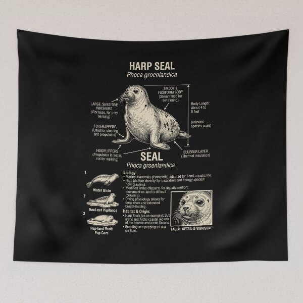 Item preview, Seal Scientific Anatomy Biology Animal Lover designed and sold by Kimberley King Art  King Art.