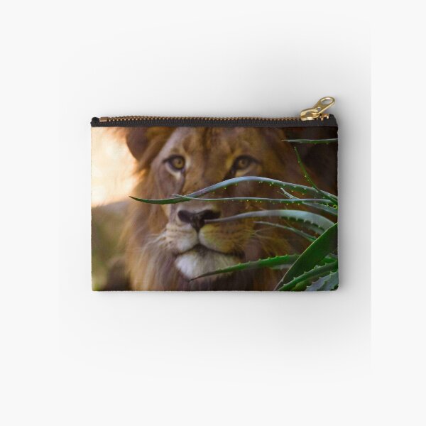 Item preview, I See You designed and sold by Stephen Jolly Photography.