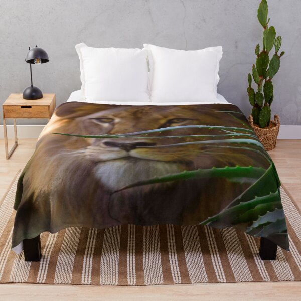 Item preview, I See You designed and sold by Stephen Jolly Photography.