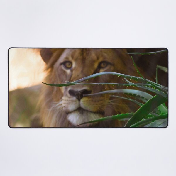 Item preview, I See You designed and sold by Stephen Jolly Photography.