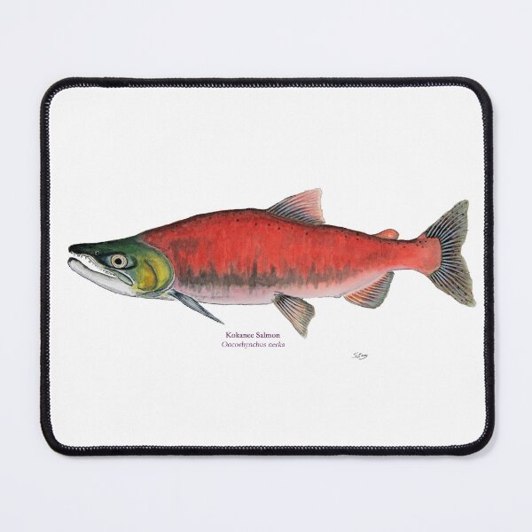 Item preview, Kokanee Salmon designed and sold by Stephen Emms.