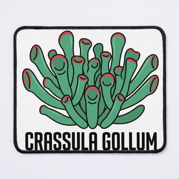 Item preview, Minimalist Crassula Gollum Botanical Graphic designed and sold by GreenDivisionJP.