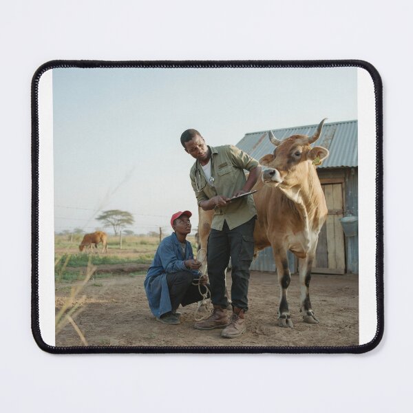 Item preview, African Livestock Farmers Inspecting Brahman Bull designed and sold by SavannaCanvas.