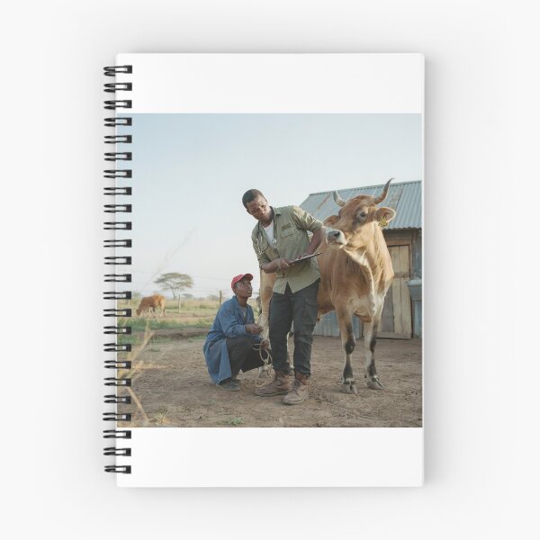 Item preview, African Livestock Farmers Inspecting Brahman Bull designed and sold by SavannaCanvas.