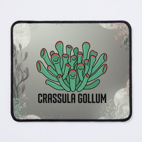 Item preview, Minimalist Crassula Gollum Botanical Graphic designed and sold by GreenDivisionJP.