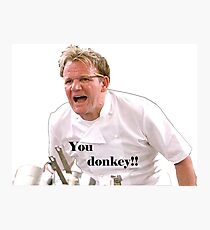 You Donkey! Photographic Print