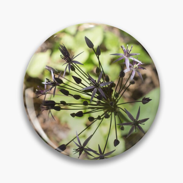 Item preview, Star of Persia Allium Flower Emerging from the Shadows designed and sold by Georgia Mizuleva.