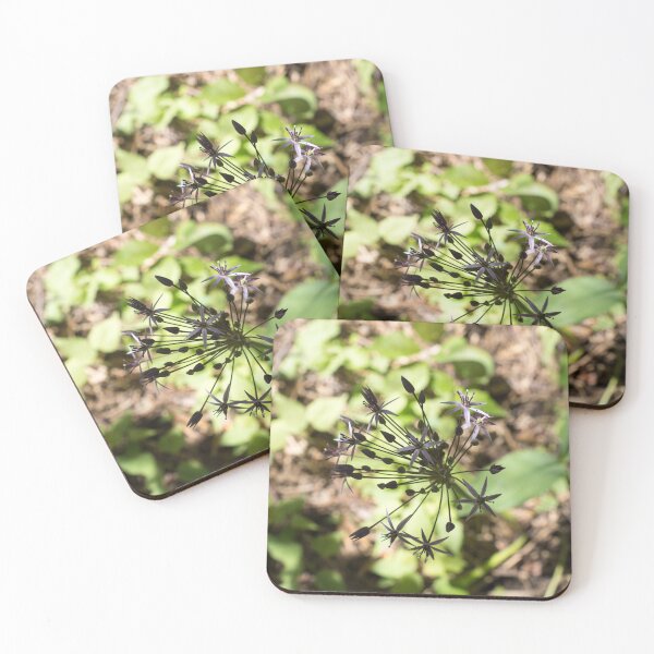 Item preview, Star of Persia Allium Flower Emerging from the Shadows designed and sold by Georgia Mizuleva.