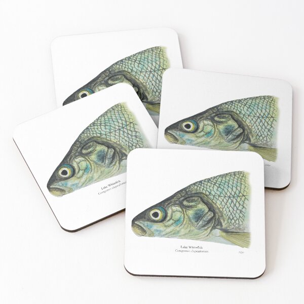 Item preview, Whitefish Painting designed and sold by Stephen Emms.