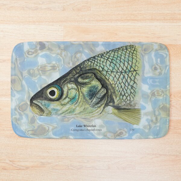 Item preview, Whitefish Painting designed and sold by Stephen Emms.