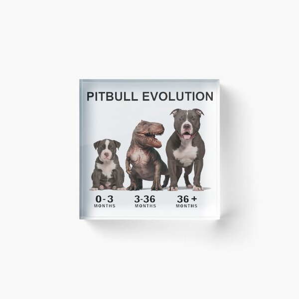 Item preview, Pitbull Evolution designed and sold by 123ks.