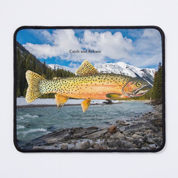 Item preview, Westslope Cutthroat Trout Painting designed and sold by Stephen Emms.