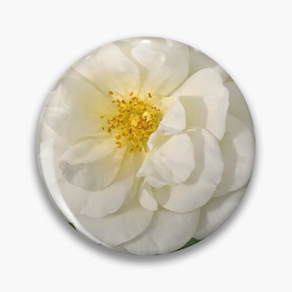 Item preview, Ivory Rose in Forest Light designed and sold by Violafleurviolett.