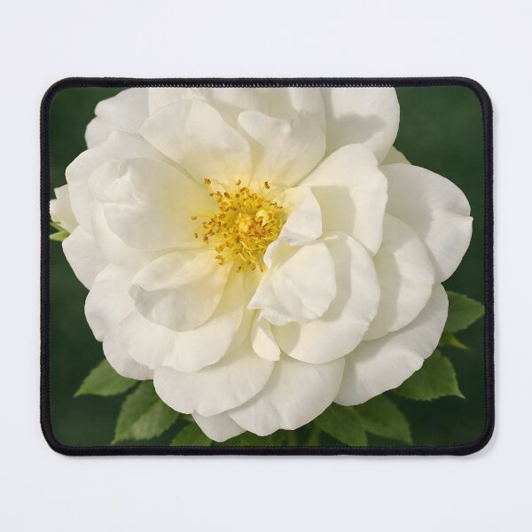 Item preview, Ivory Rose in Forest Light designed and sold by Violafleurviolett.