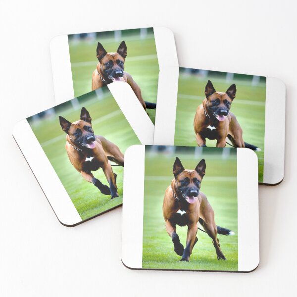 Item preview, Animals - Athletic Breed Dog, Dynamic Portrait on a Sports Field designed and sold by DoodyPets.