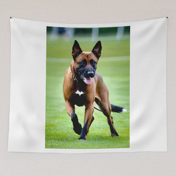 Item preview, Animals - Athletic Breed Dog, Dynamic Portrait on a Sports Field designed and sold by DoodyPets.
