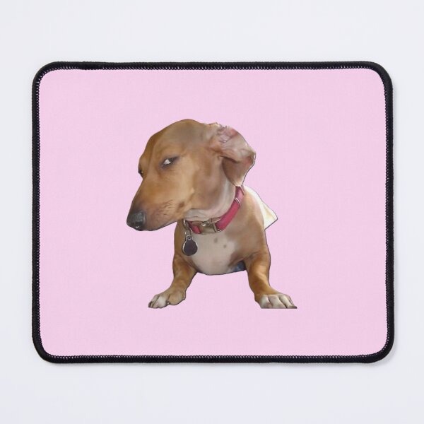 Item preview, Judging Dog Meme Sticker | Side Eye Dachshund | Suspicious Dog Reaction Meme | Funny Wiener Dog Sticker designed and sold by Pophands.